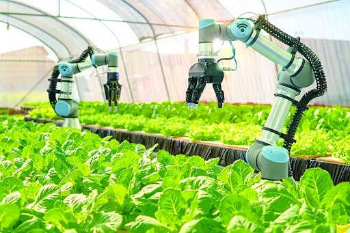 AI in Vietnam Agriculture 